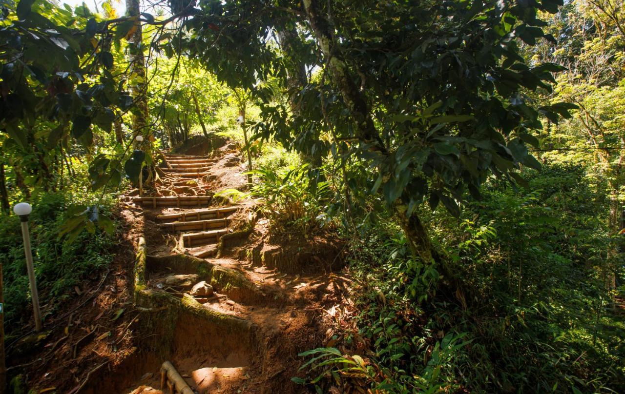 Ela Ecoland Nature Retreat Munnar Exterior photo