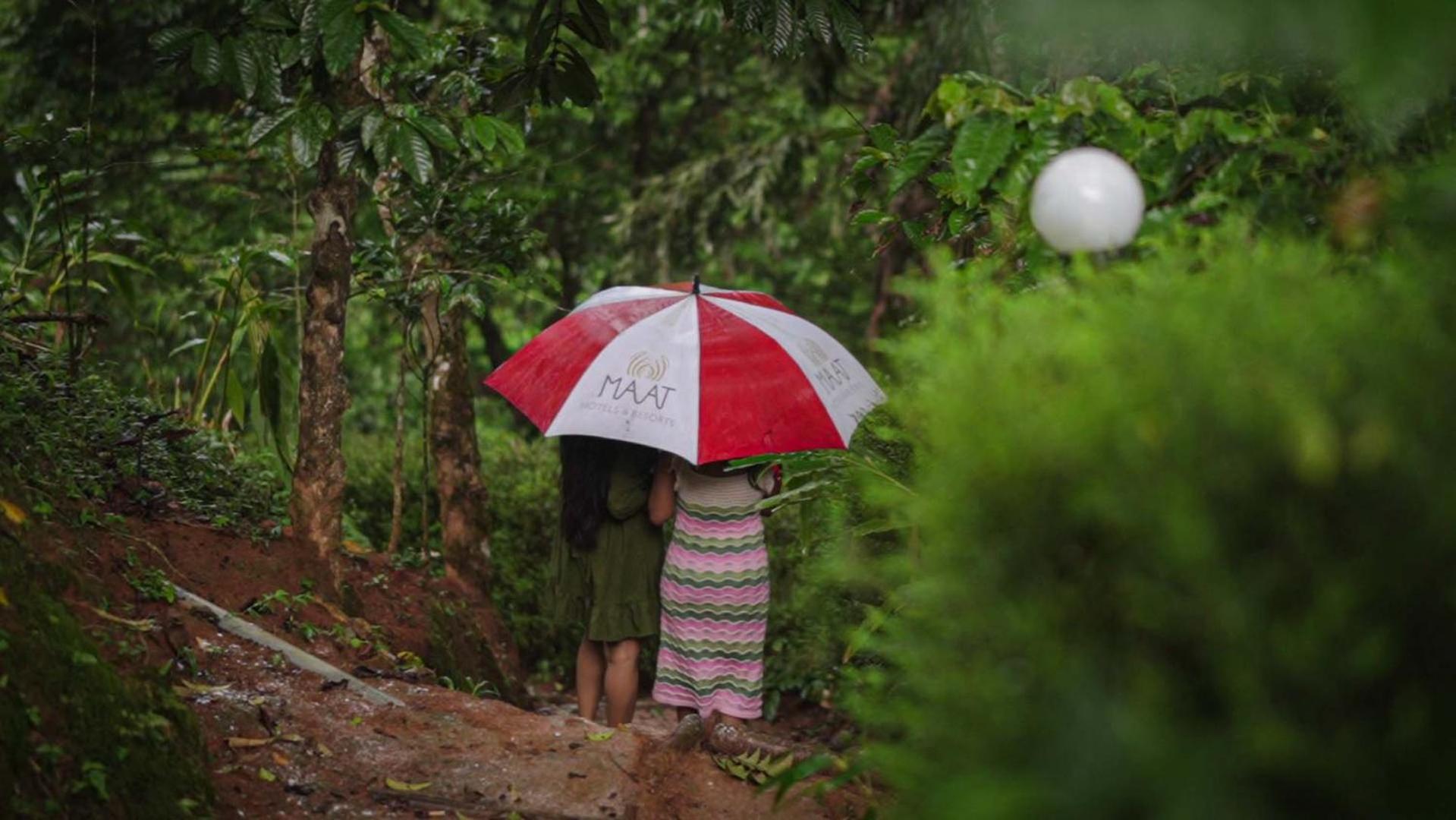 Ela Ecoland Nature Retreat Munnar Exterior photo