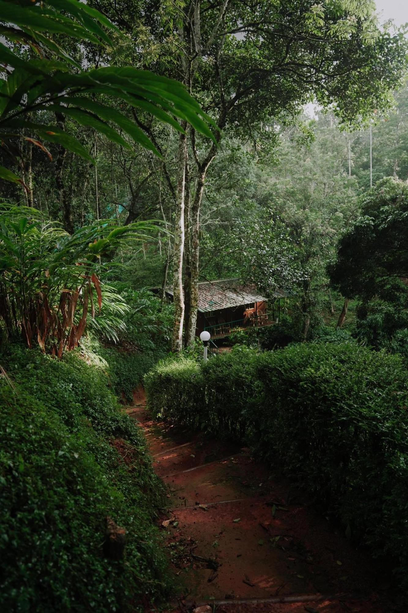 Ela Ecoland Nature Retreat Munnar Exterior photo